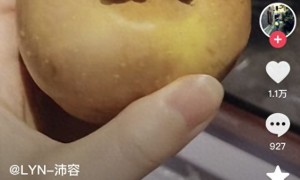 苹果上为啥长蘑菇？专家揭秘果菌王