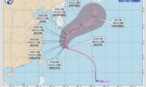 视频：台风十级风圈雨点像石子砸脸