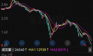 连续27个跌停的ST爱康被立案