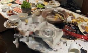 19岁女子生日宴吃火锅遇卡式炉爆燃缩略图