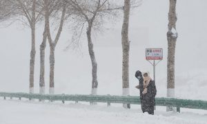 鹤岗暴雪破纪录：乘客雪中推公交缩略图