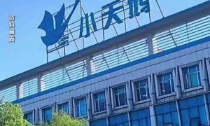 小天鹅被薅7000万网店公布补偿方案缩略图