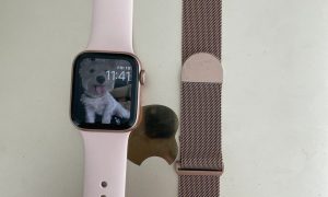 AppleWatch表带被曝含有毒物质缩略图